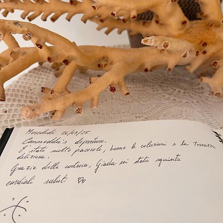 مارزاميمي Regina Margherita B&B المظهر الخارجي الصورة